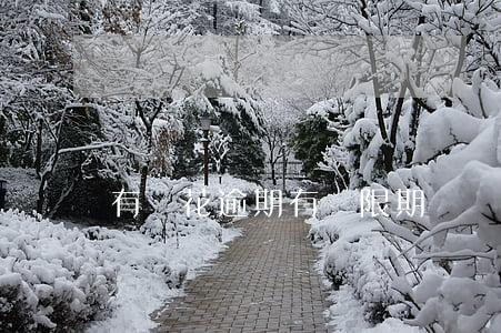 有錢花逾期有寬限期嗎？該如何處理？